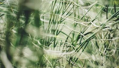 How to make a lucky charm with your own hands